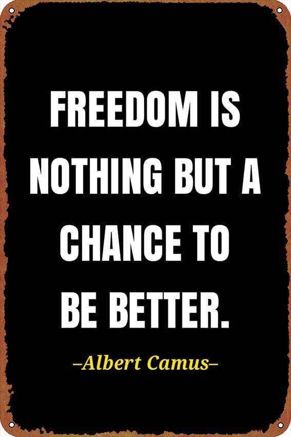 Home Improvement Quotes - （2D Tin painting）Albert camus quote Self-Improvement
